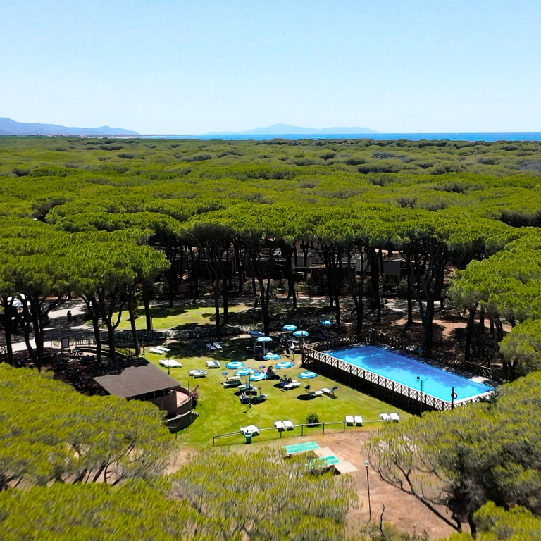 Servizi facilmente accessibili