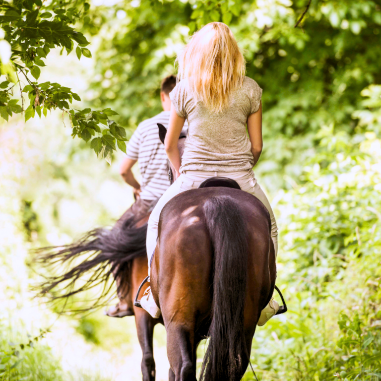 Passeggiate a cavallo nella campagna maremmana